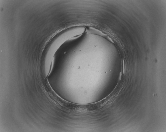 X0000083620252200703051616