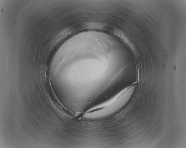 X0000083620253200703051616