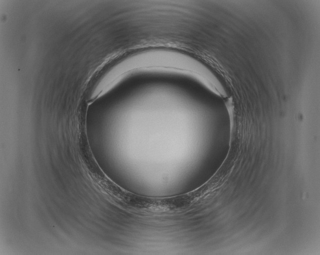 X0000083620256200703051617