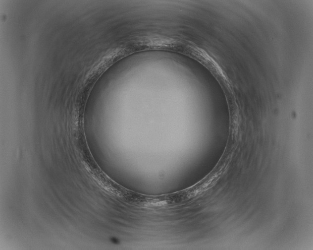 X0000083620257200703051617