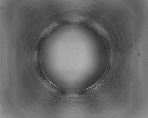 X0000083620258200703051617