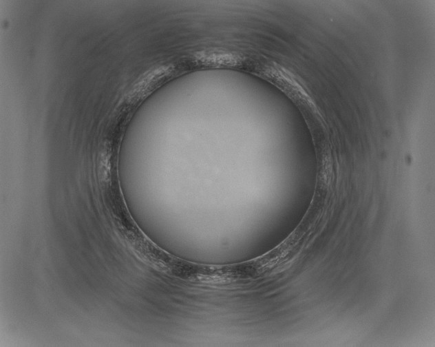 X0000083620259200703051617