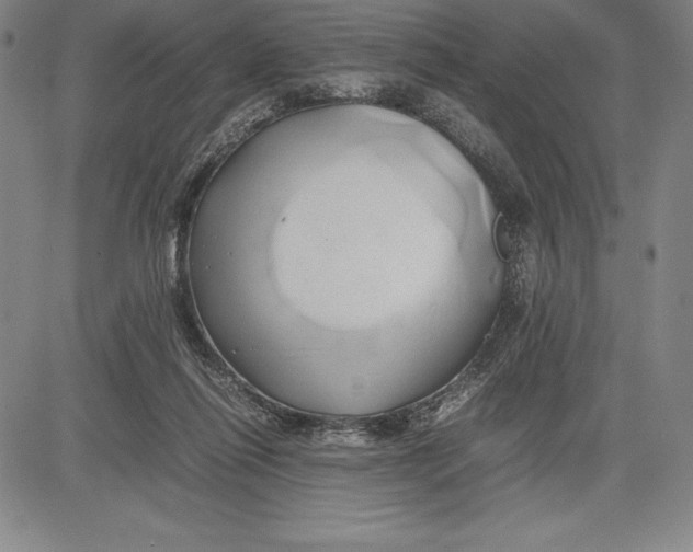 X0000083620262200703051617