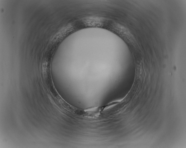 X0000083620263200703051617