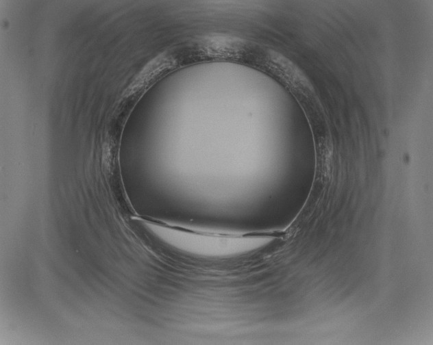 X0000083620266200703051617