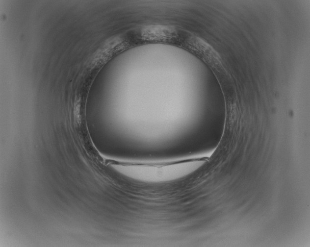 X0000083620267200703051617