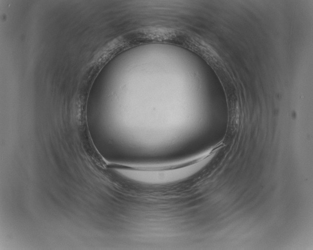 X0000083620268200703051617