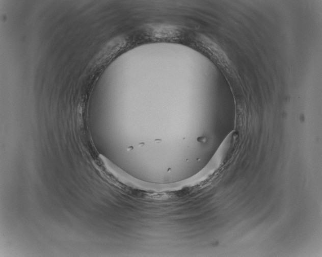 X0000083620269200703051617