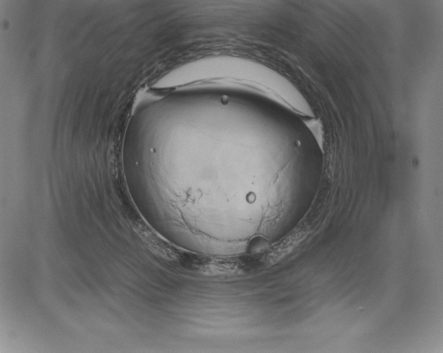 X0000083620270200703051617