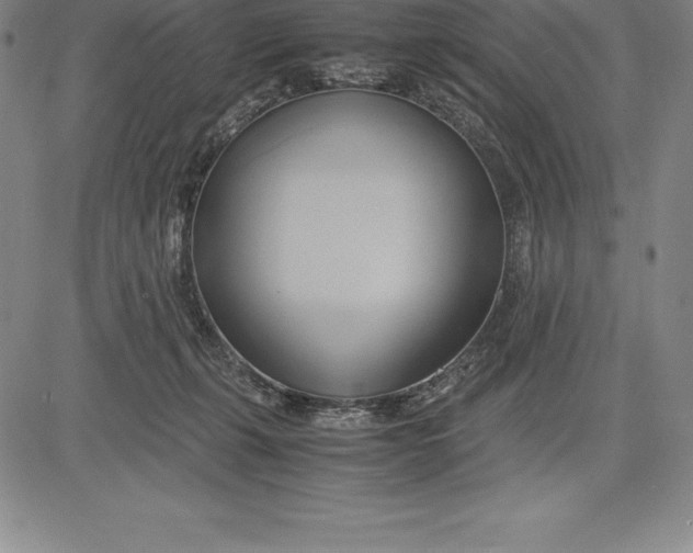 X0000083620271200703051617