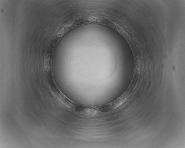 X0000083620272200703051617