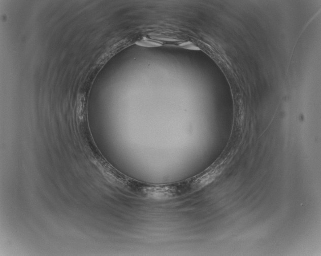 X0000083620273200703051617