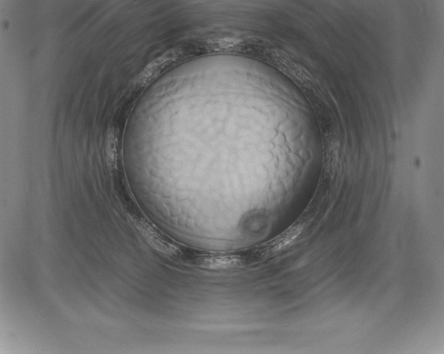 X0000083620274200703051617