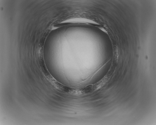 X0000083620276200703051617