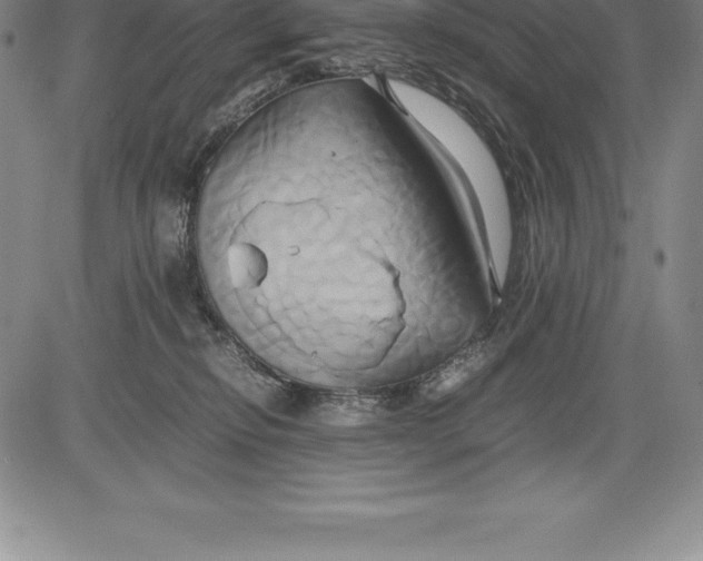 X0000083620278200703051617