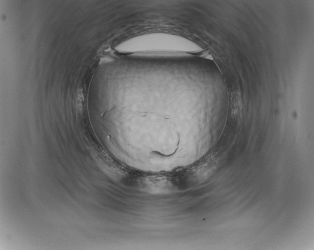 X0000083620279200703051617