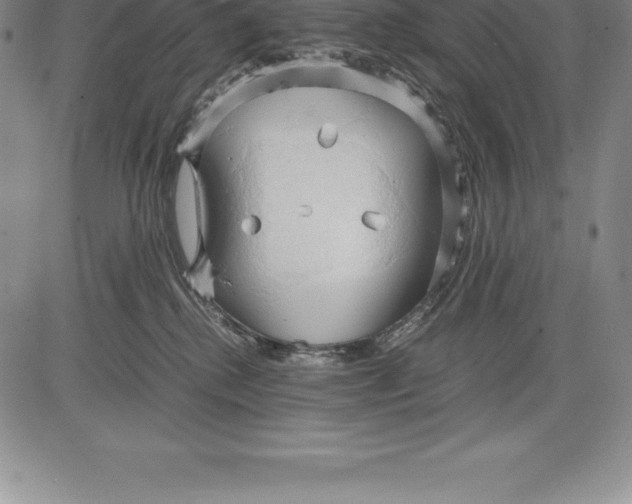 X0000083620280200703051617