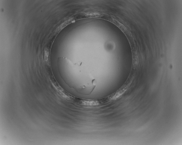 X0000083620281200703051617