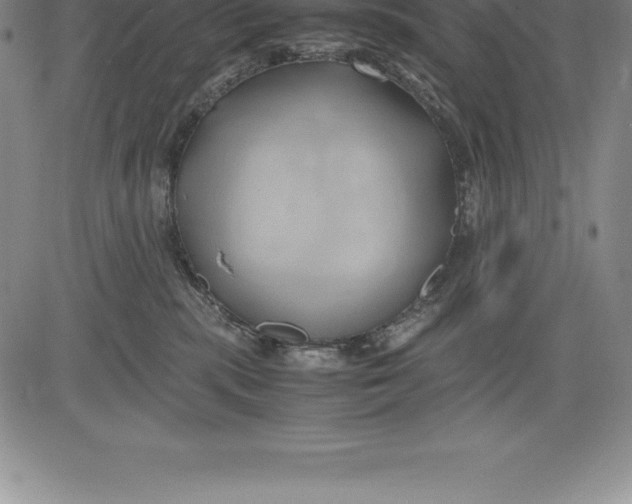 X0000083620283200703051617