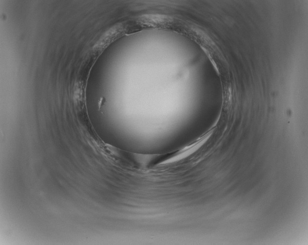 X0000083620284200703051617