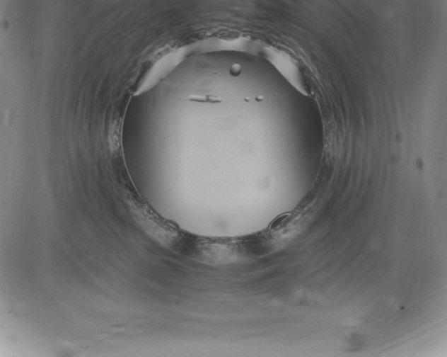 X0000083620285200703051617