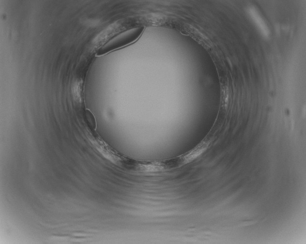 X0000083620286200703051617