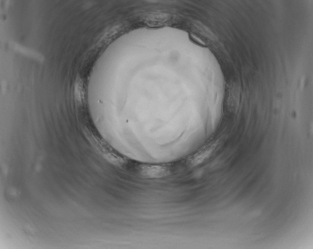 X0000083620287200703051617