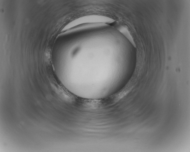 X0000083620288200703051617