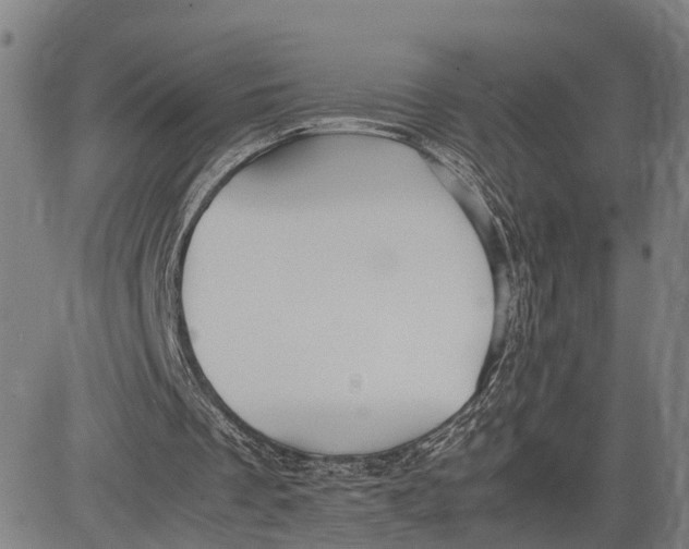 X0000083620289200703051616