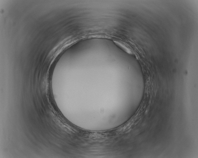 X0000083620290200703051616