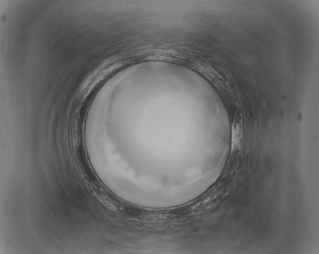 X0000083620291200703051616