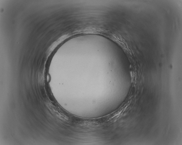 X0000083620292200703051616