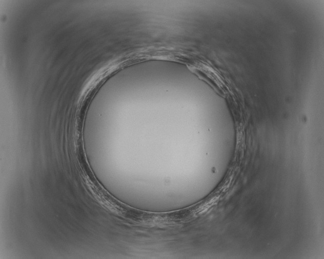 X0000083620293200703051616