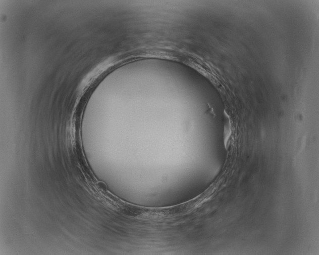 X0000083620294200703051616