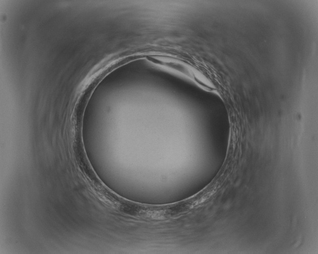 X0000083620295200703051616