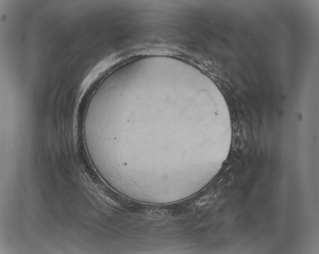 X0000083620296200703051616