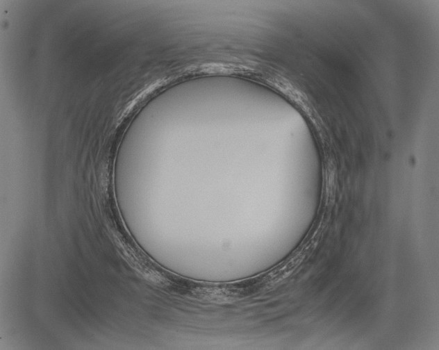 X0000083620297200703051616