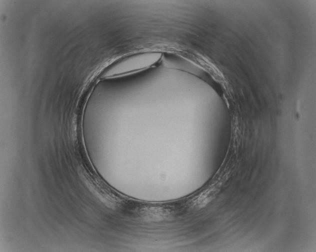 X0000083620298200703051616