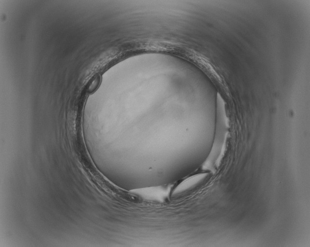 X0000083620299200703051616