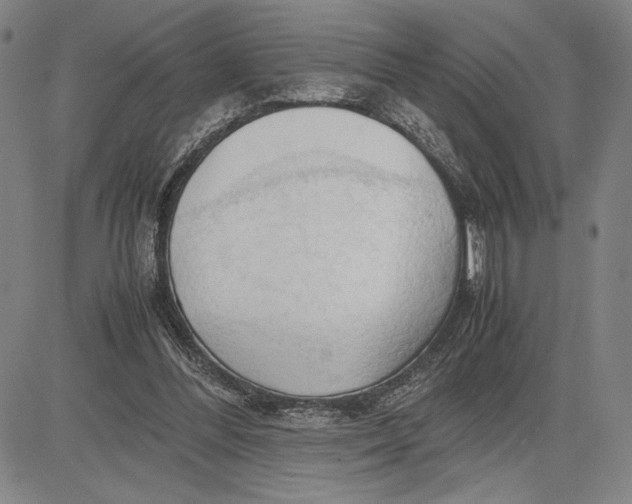 X0000083620300200703051616