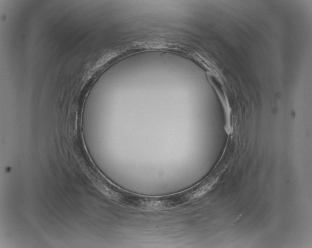 X0000083620301200703051616