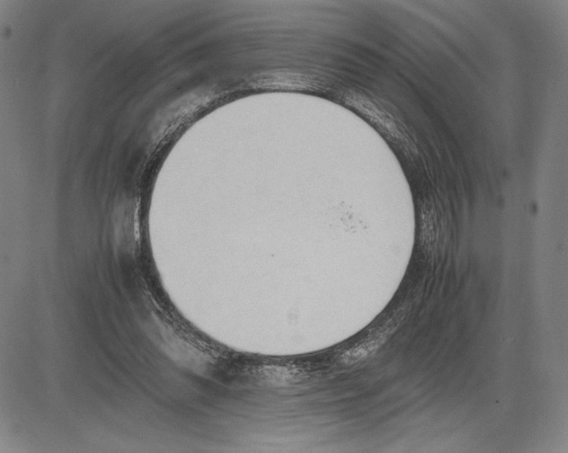 X0000083620302200703051616