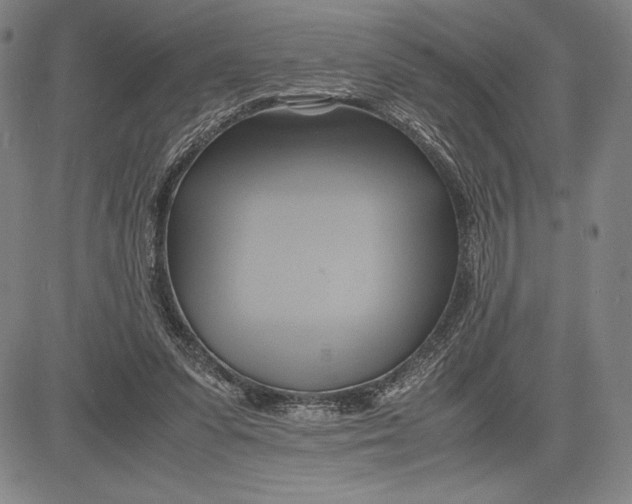 X0000083620303200703051616