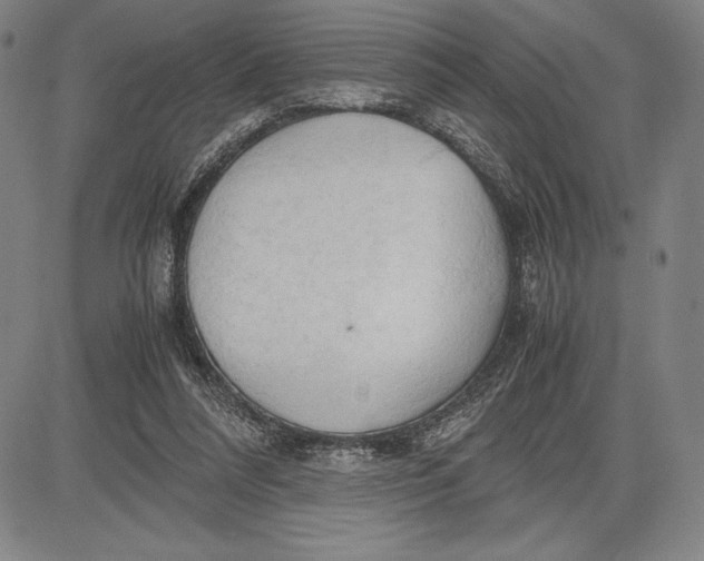 X0000083620304200703051616