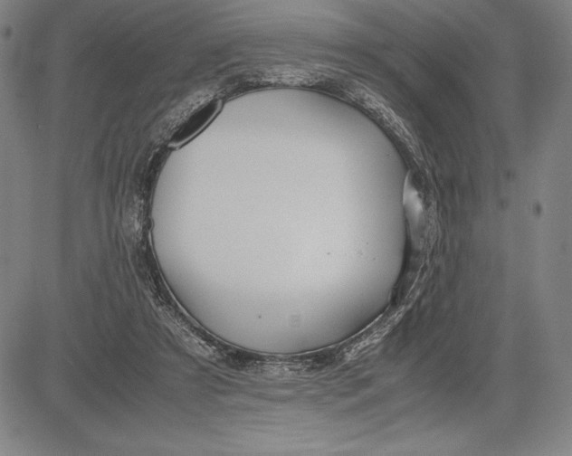 X0000083620305200703051616