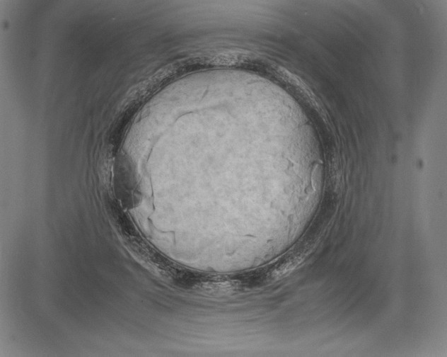 X0000083620307200703051616