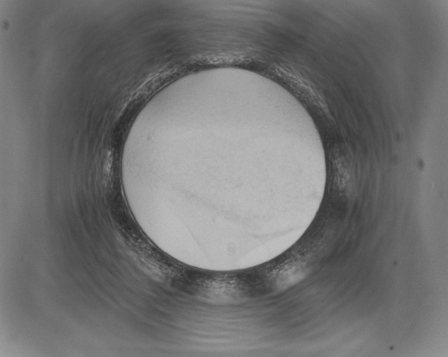 X0000083620308200703051616