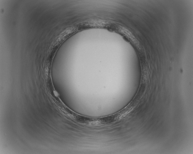 X0000083620309200703051616