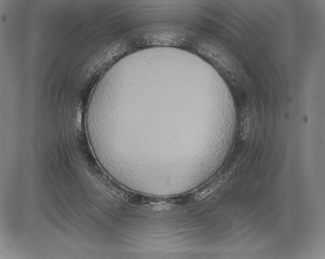 X0000083620310200703051616