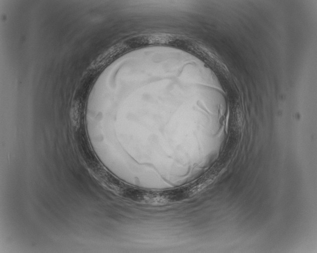 X0000083620311200703051616